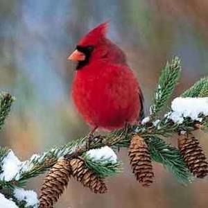 Meet your Posher, Maryesther